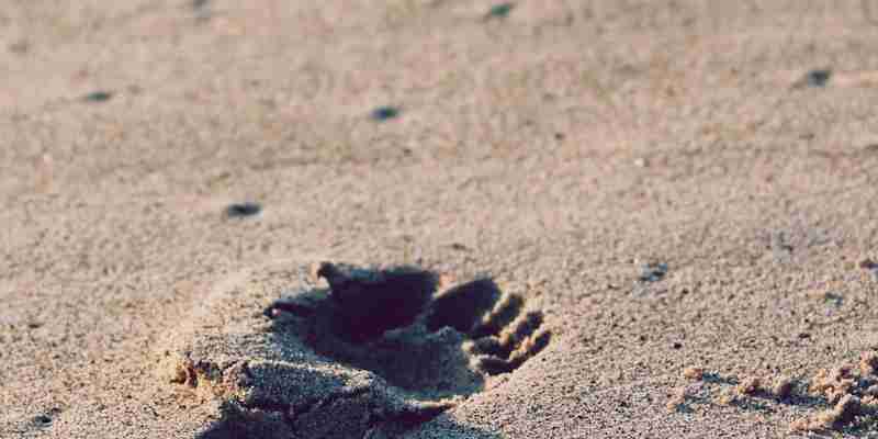 时间戳转换工具使用指南：毫秒级时间戳精准转换技巧