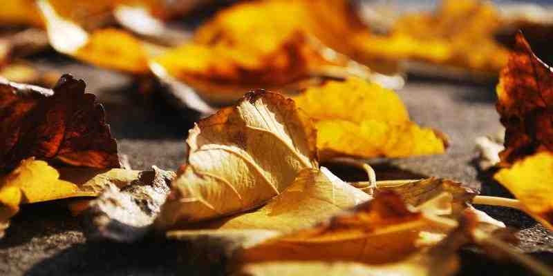 AI 能 &ldquo;思考&rdquo; 吗？揭开大模型 &ldquo;黑箱&rdquo; 的神秘面纱