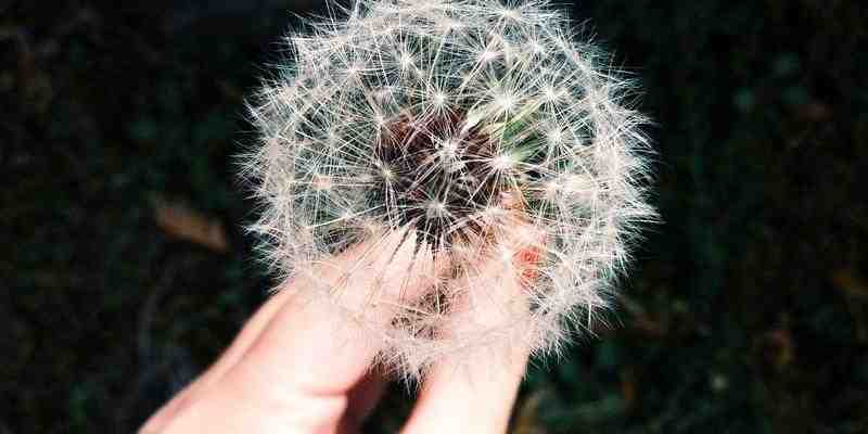 Sourcetree拉取/提交代码一直转圈？10秒快速解决技巧